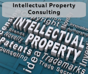 Intelluctual Property Consulting