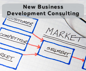 Business Development Consulting